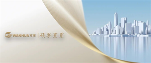榮耀時(shí)刻！萬華節(jié)能科技煙臺公司榮獲“中國聚氨酯制品行業(yè)十強(qiáng)企業(yè)”稱謂（墻裂推薦）