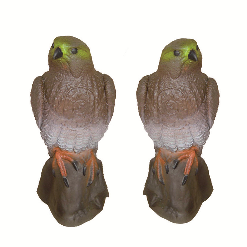 硬泡鳥